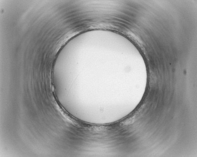 X0000088611041200706221426