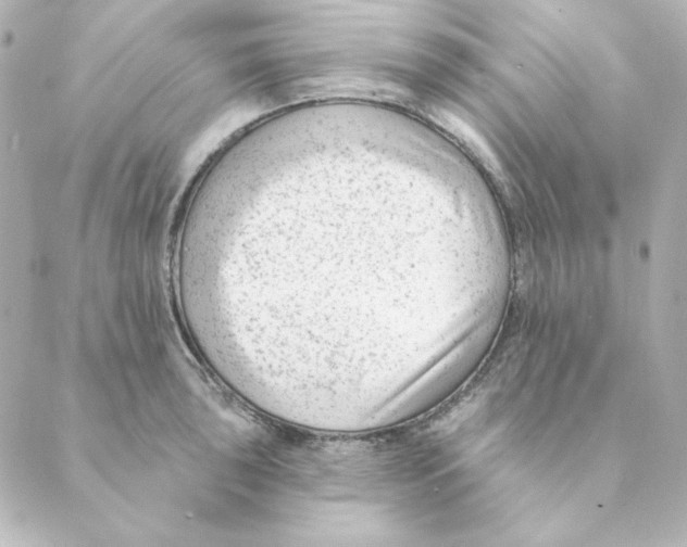 X0000088611043200706221426