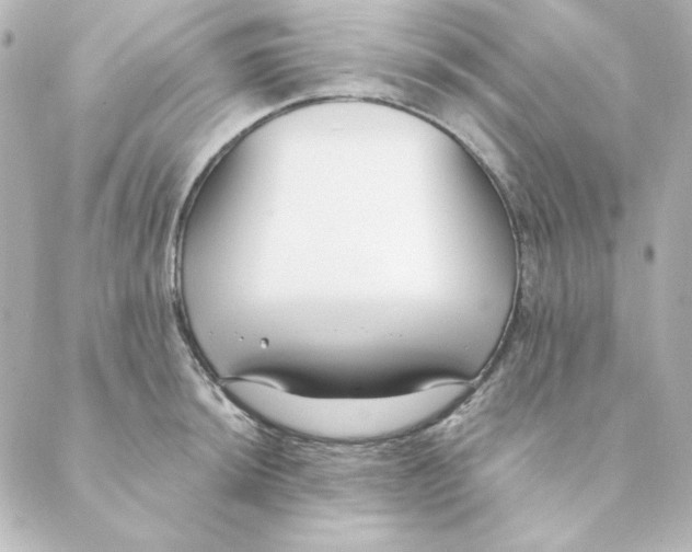 X0000088611044200706221426