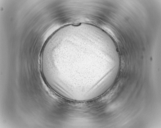 X0000088611047200706221426