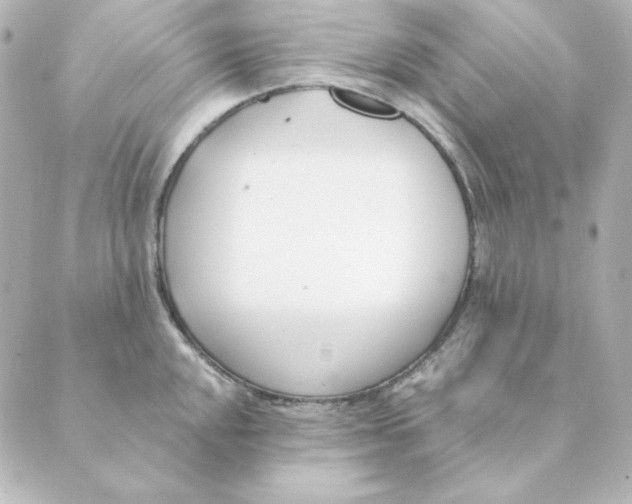 X0000088611048200706221426