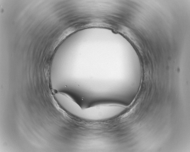 X0000088611049200706221426