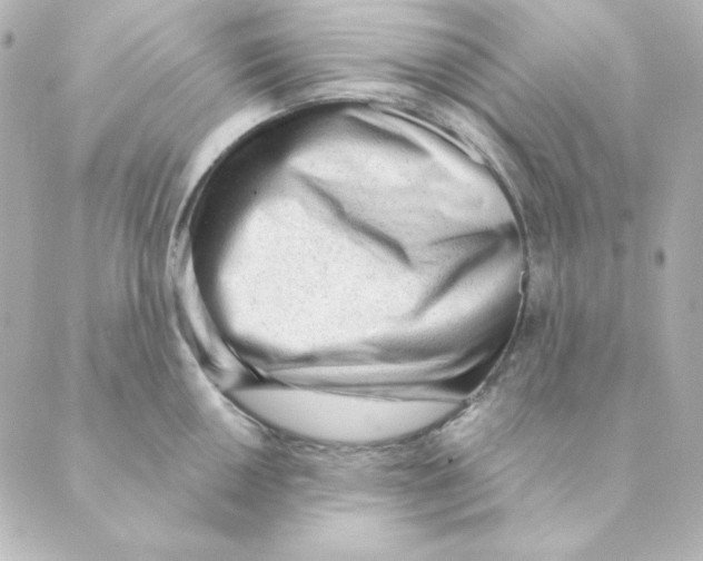 X0000088611050200706221426