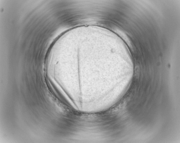 X0000088611051200706221426