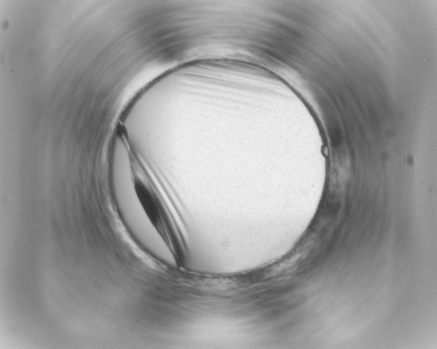 X0000088611053200706221426