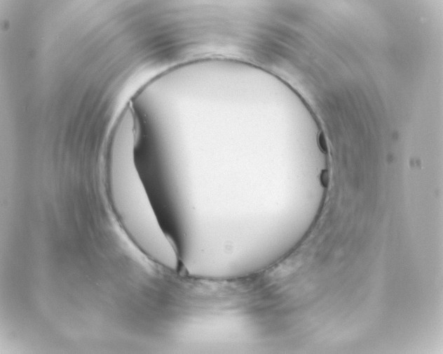 X0000088611056200706221426