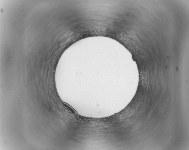 X0000088611057200706221425