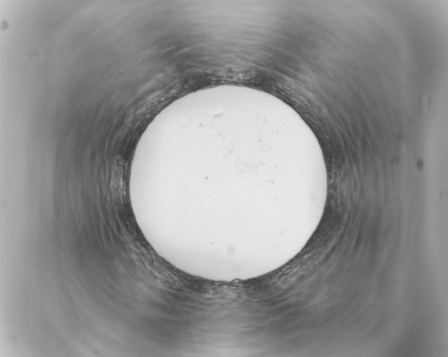 X0000088611058200706221425