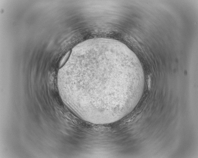 X0000088611059200706221425