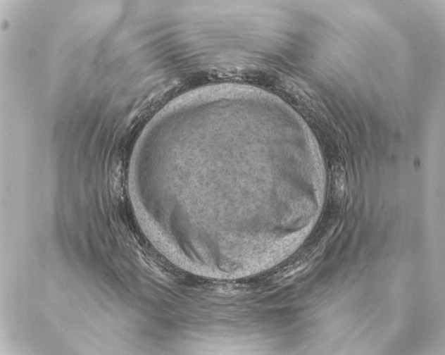 X0000088611060200706221425