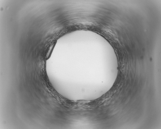 X0000088611061200706221425