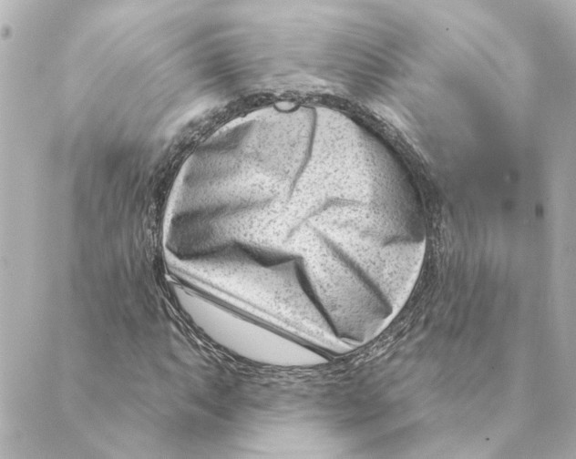 X0000088611063200706221425