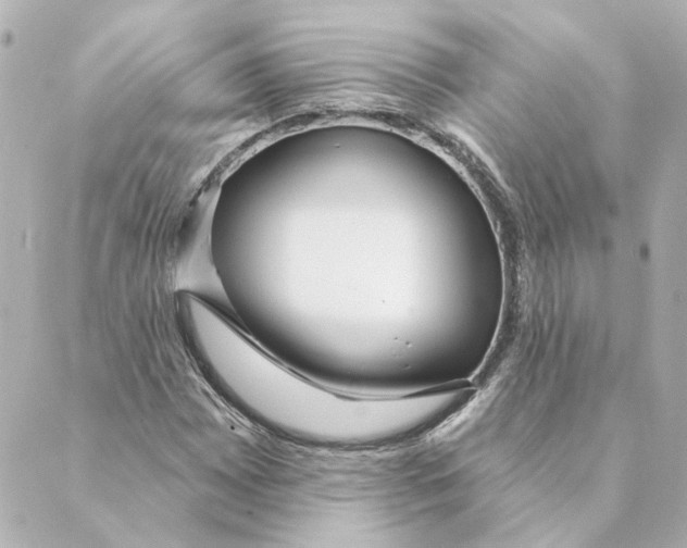 X0000088611065200706221425