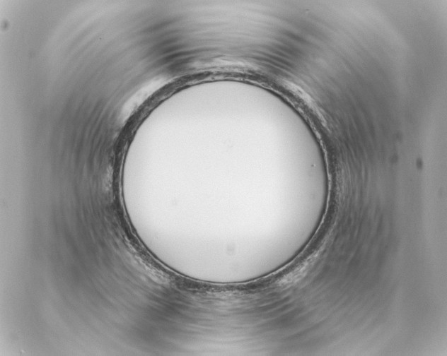 X0000088611066200706221425