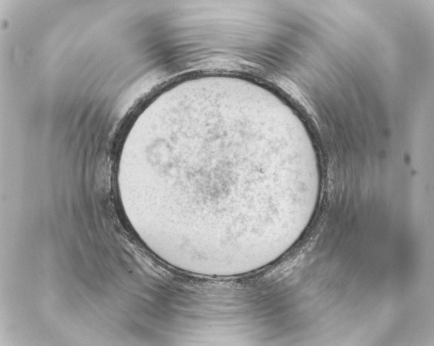 X0000088611067200706221425