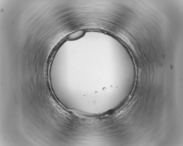 X0000088611068200706221425