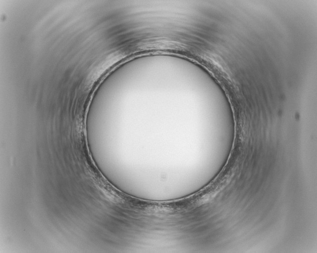 X0000088611073200706221425