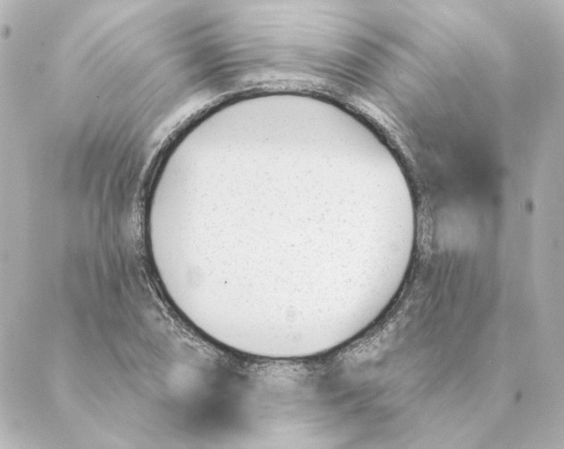 X0000088611074200706221425