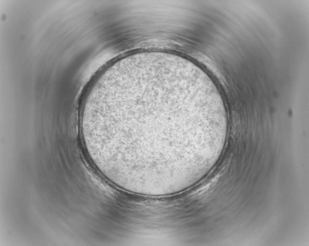 X0000088611075200706221425