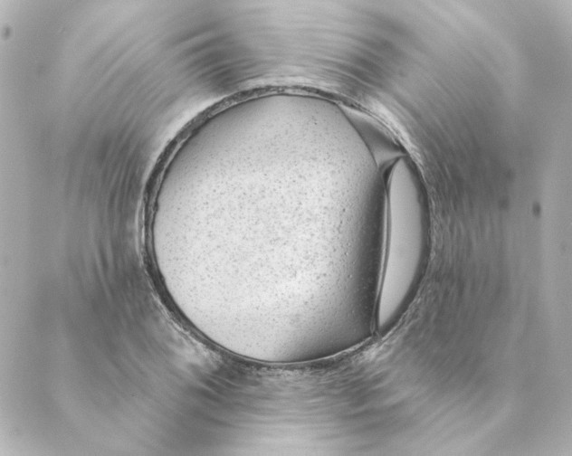 X0000088611076200706221425