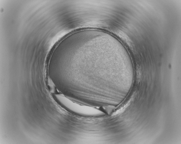 X0000088611077200706221425