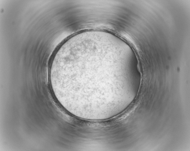 X0000088611079200706221425