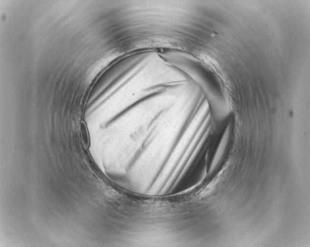 X0000088611081200706221425