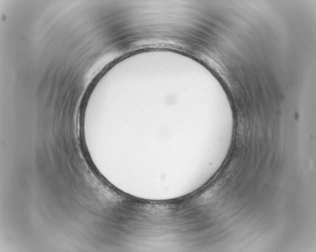 X0000088611082200706221425