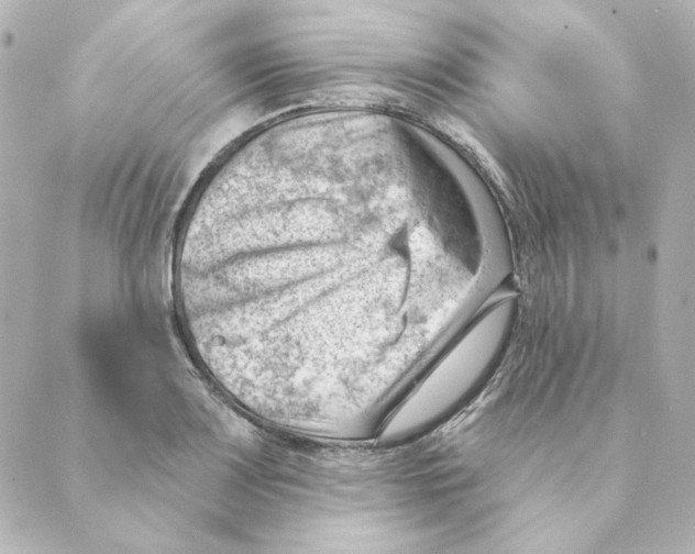 X0000088611083200706221425