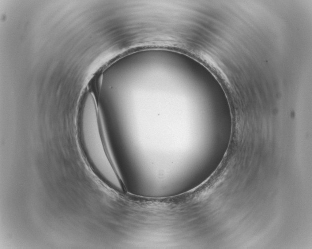 X0000088611085200706221425