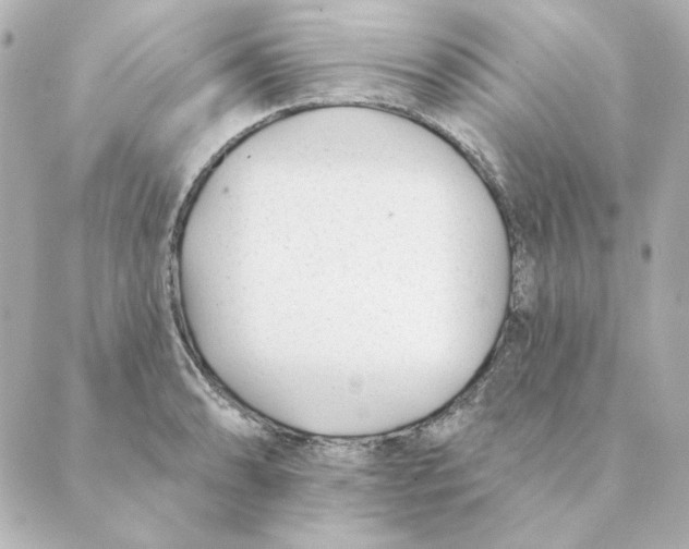 X0000088611086200706221425