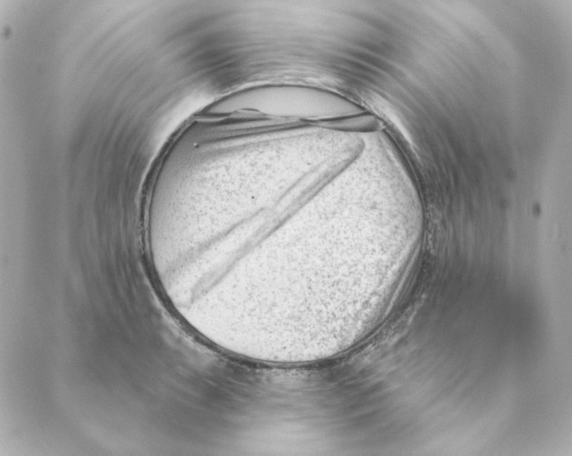 X0000088611087200706221424