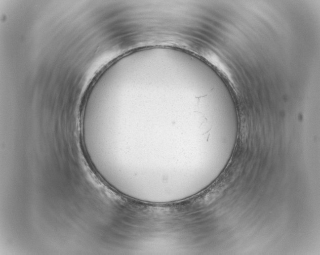 X0000088611088200706221424