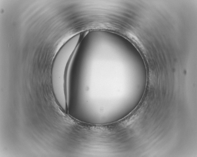 X0000088611089200706221424