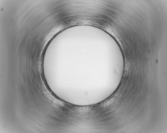 X0000088611090200706221424