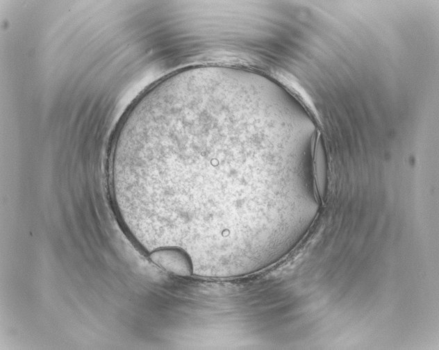 X0000088611091200706221424