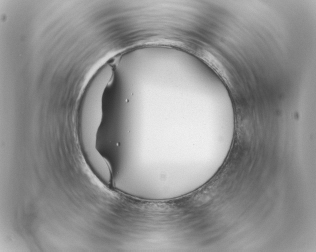 X0000088611092200706221424