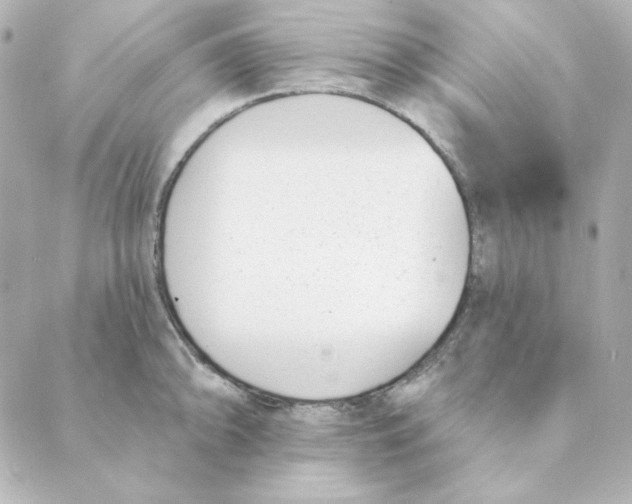 X0000088611094200706221424