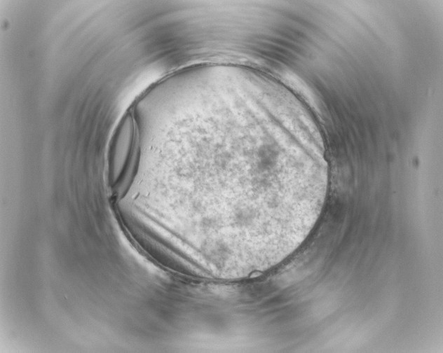 X0000088611095200706221424