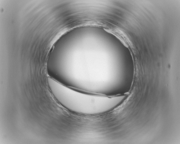 X0000088611097200706221424