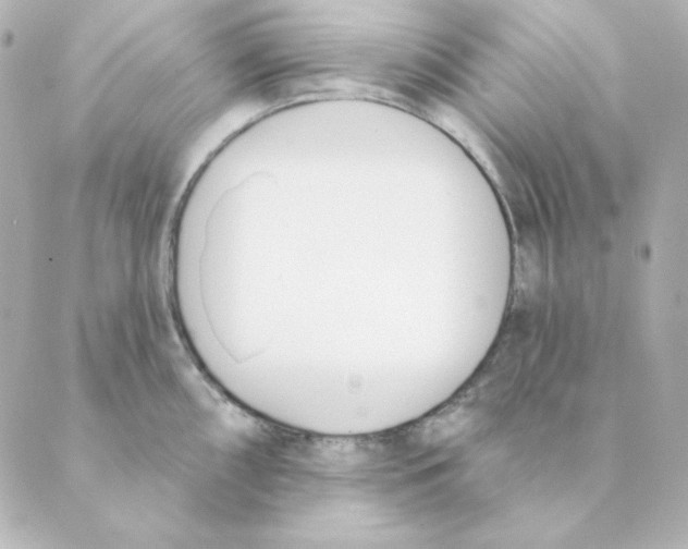 X0000088611098200706221424