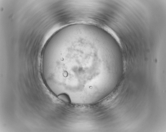 X0000088611099200706221424