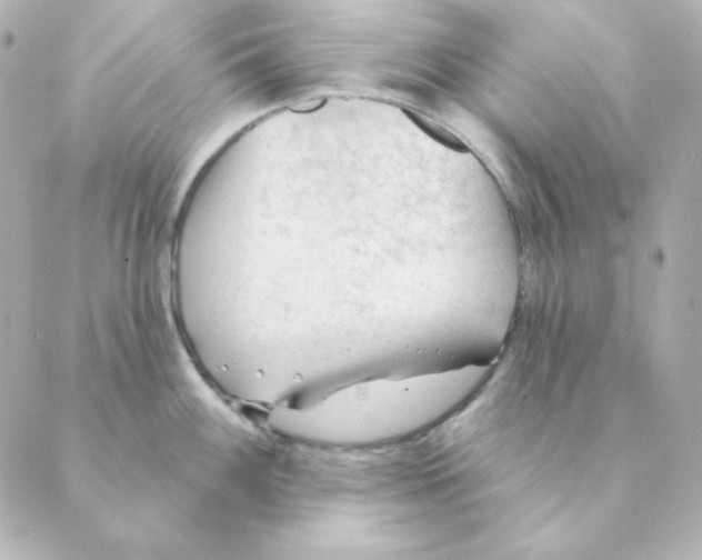 X0000088611100200706221424