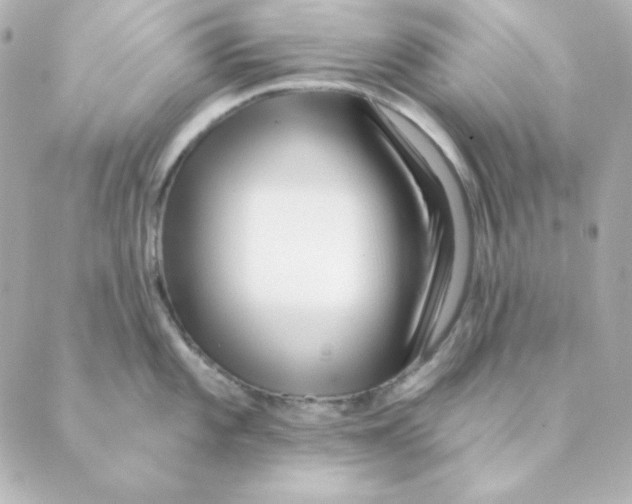 X0000088611101200706221424