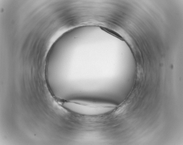 X0000088611102200706221424