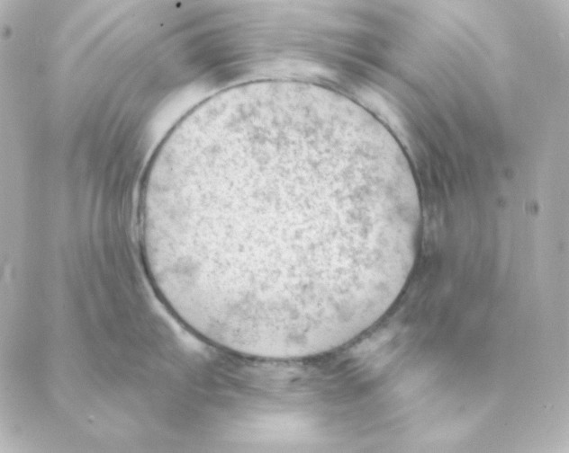 X0000088611103200706221424