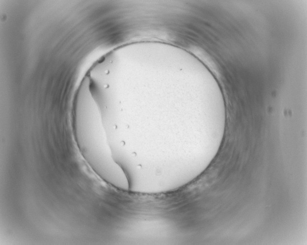 X0000088611104200706221424