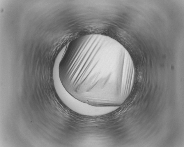 X0000088611108200706221423