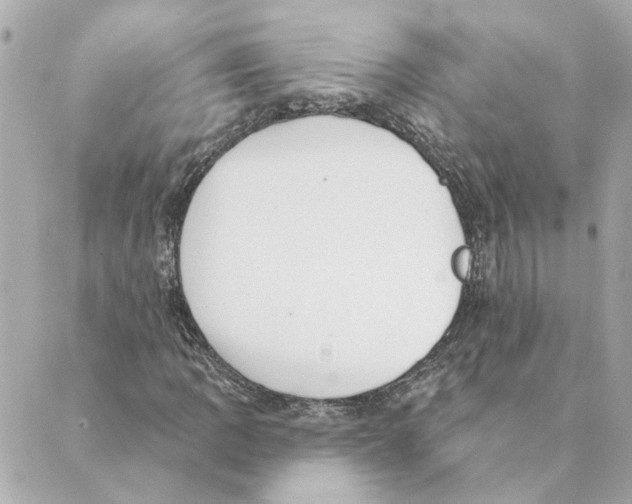 X0000088611109200706221424