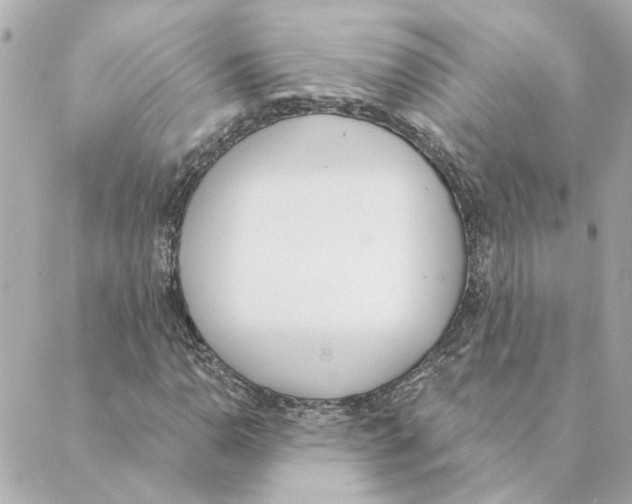 X0000088611110200706221424